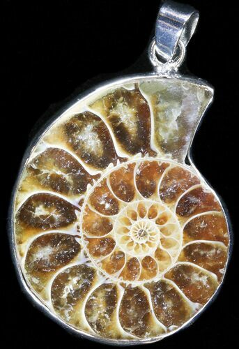 Fossil Ammonite Pendant - Million Years Old #37921